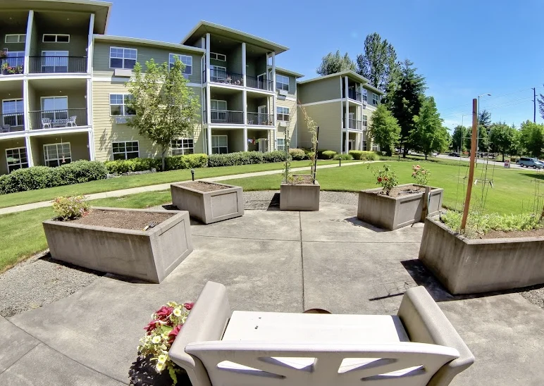 Image of Woodland by Bonaventure (10)