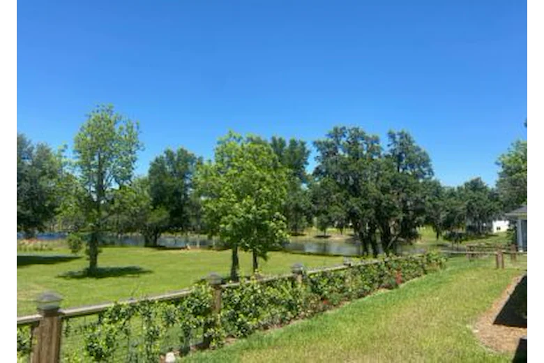 Image of Grande Cypress Senior Living (4)