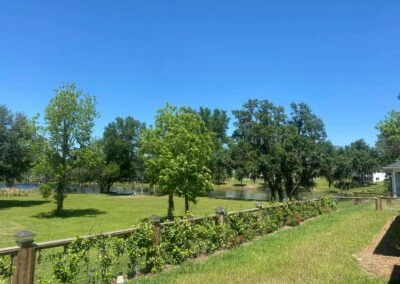 Image of Grande Cypress Senior Living (4)