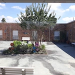 Image of Paradigm At Woodwind Lakes (3)