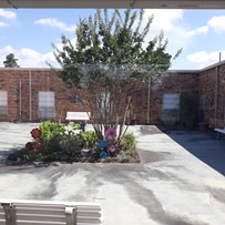 Image of Paradigm At Woodwind Lakes (3)