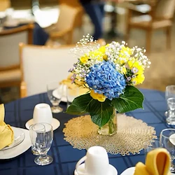 Image of Bellevue Senior Living (2)