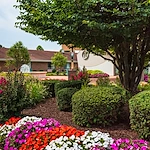 Image of Delmar Gardens On The Green (2)