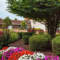 Image of Delmar Gardens On The Green (2)