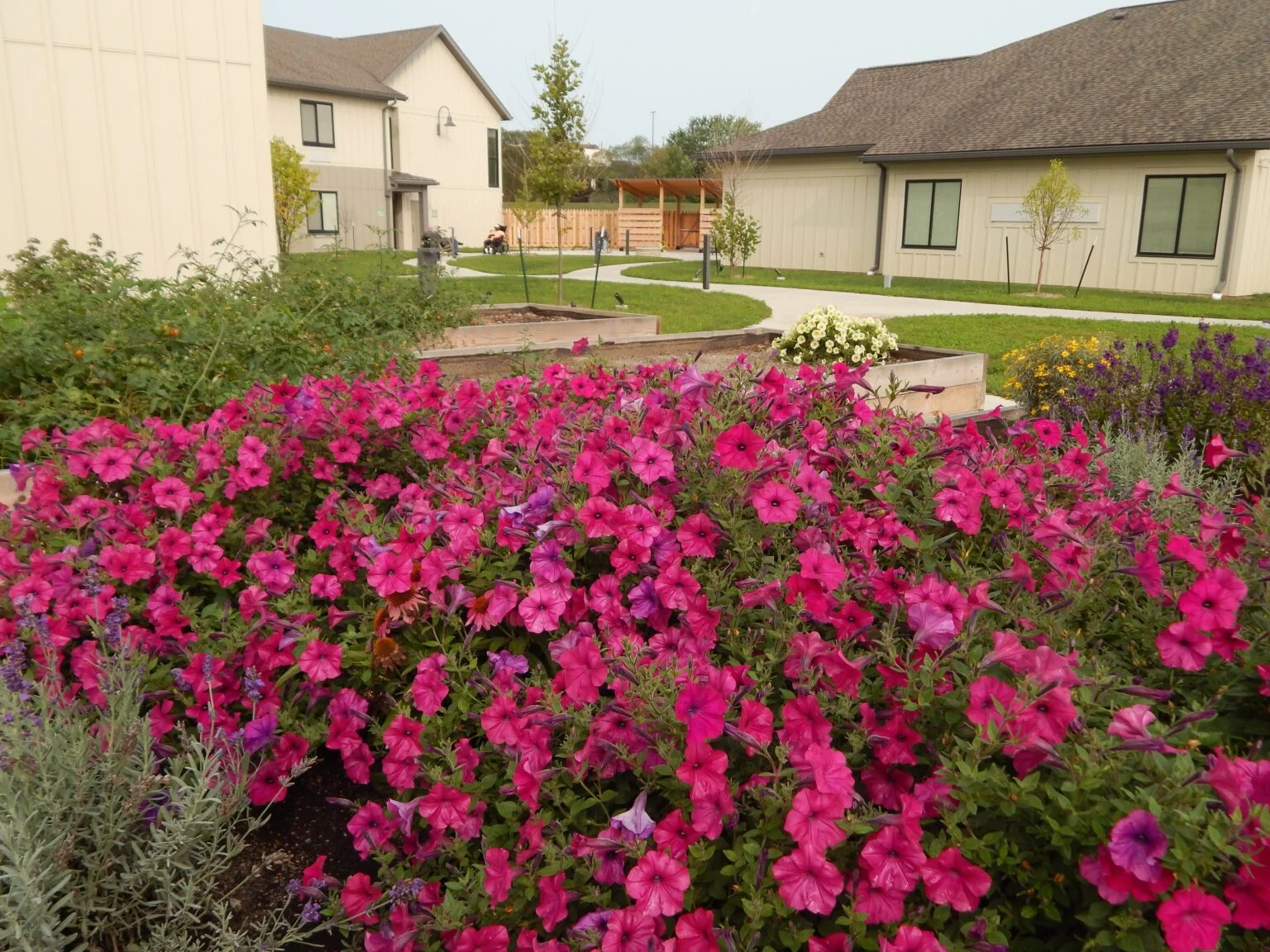 Image of Byron Health Center (2)