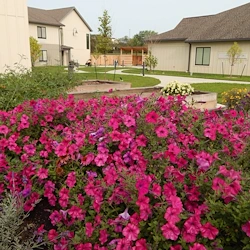 Image of Byron Health Center (2)