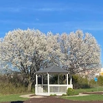 Image of Laurelwood Assisted Living (5)