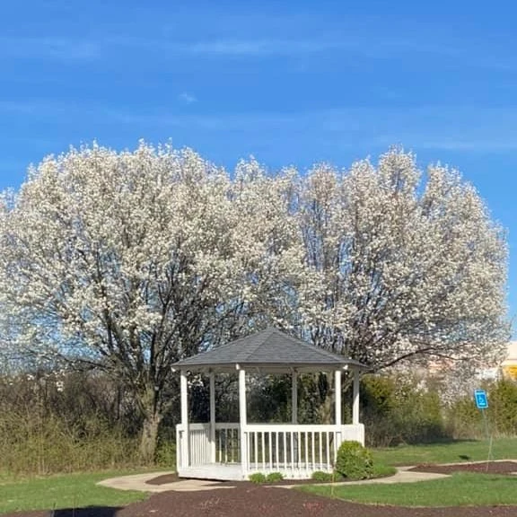 Image of Laurelwood Assisted Living (5)