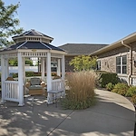 Image of Autumn Leaves of Orland Park (4)