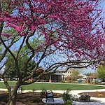 Image of Bridgewater Retirement Community (4)