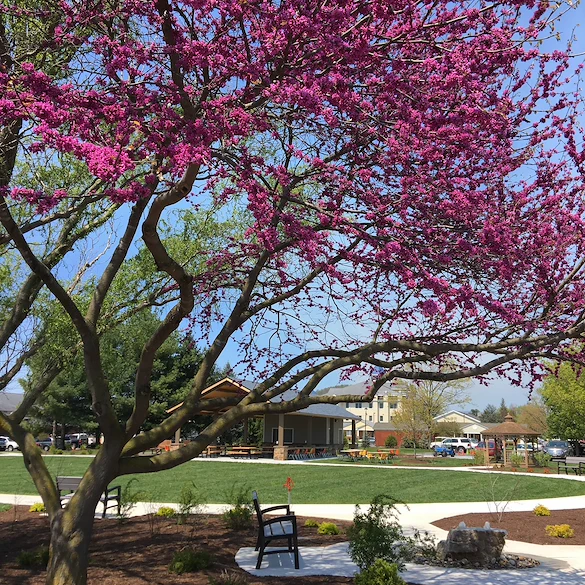 Image of Bridgewater Retirement Community (4)