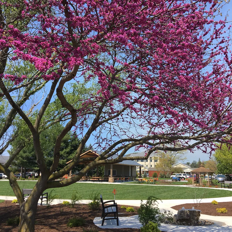 Image of Bridgewater Retirement Community (4)