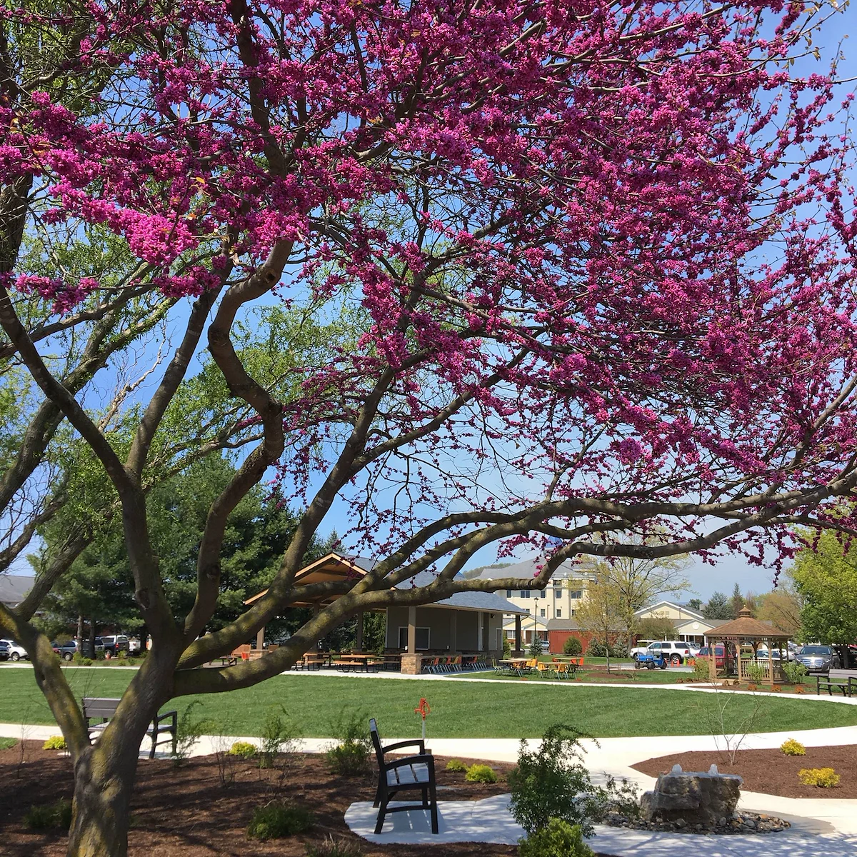 Image of Bridgewater Retirement Community (4)