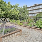 Judson Park Senior Living in Des Moines, WA, outdoor garden