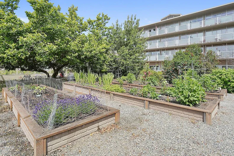 Judson Park Senior Living in Des Moines, WA, outdoor garden