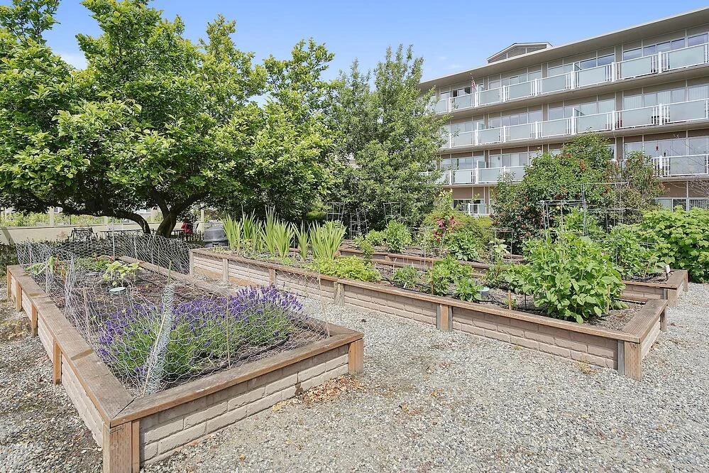 Judson Park Senior Living in Des Moines, WA, outdoor garden