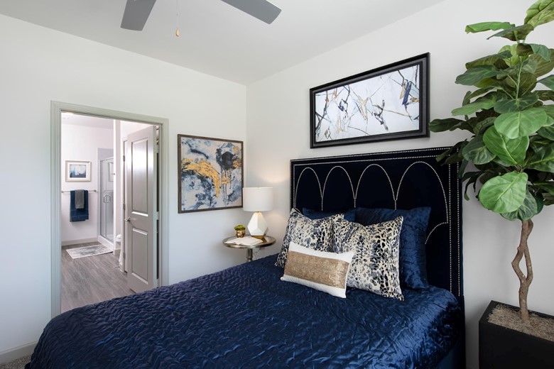 Image of The Luxe at Cedar Hill (9)