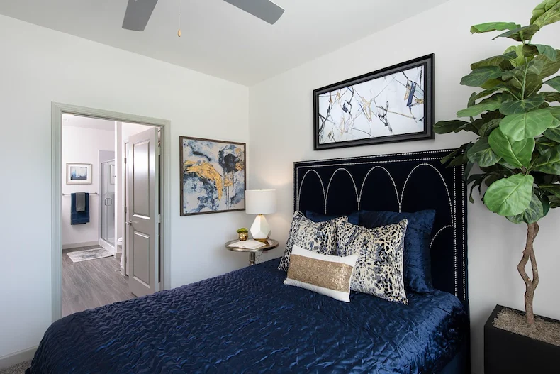 Image of The Luxe at Cedar Hill (9)