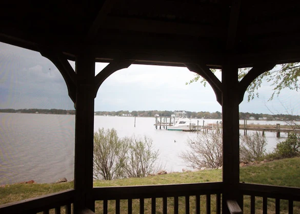 Image of Emily Green Shores (2)