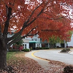 Image of McAuley Terrace (3)