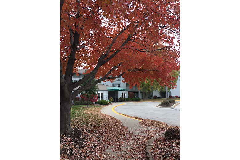 Image of McAuley Terrace (3)
