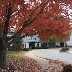 Image of McAuley Terrace (3)