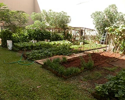 Image of Pauahi Kupuna Hale (5)