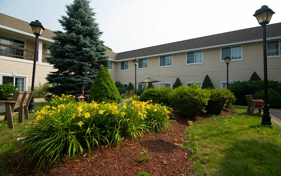 Image of Willow Brook Rehab & Healthcare Center (9)