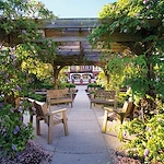 Image of WindsorMeade of Williamsburg (3)