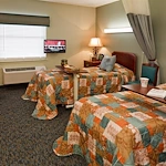 Image of Palma Real (2)