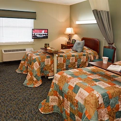 Image of Palma Real (2)