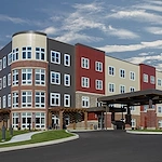 Image of Silver Birch of Kokomo (1)