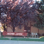 Image of Vacaville Autumn Leaves (1)
