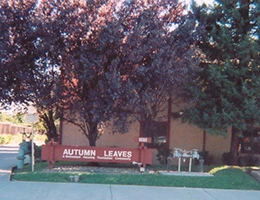 Image of Vacaville Autumn Leaves (1)