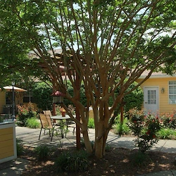 Image of Belvedere Commons of Franklin (4)