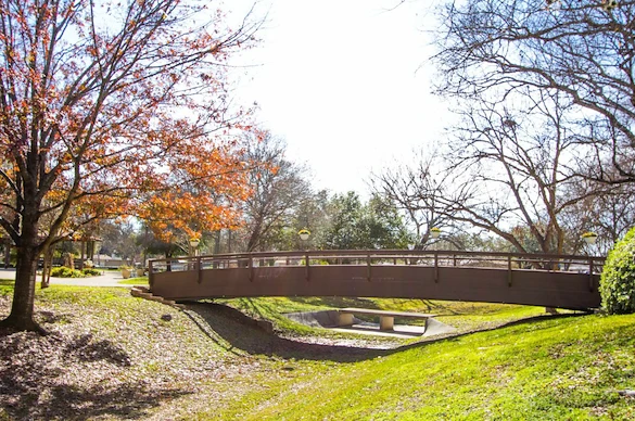 Image of Morningside at The Meadows (3)