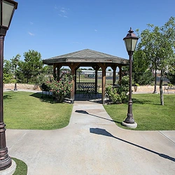 Image of Shinnery Oaks Community (3)