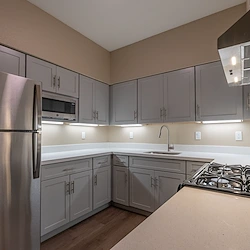 Image of Heywood Gardens (4)