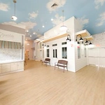 Image of Pearls of Life (3)