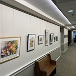 Image of Montabaur Heights Independent Living 65+ (5)