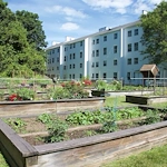 Image of Arbors of Hop Brook (3)