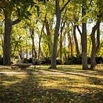 Image of Zarrow Pointe (3)