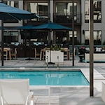 Image of Avidor Edina (6)