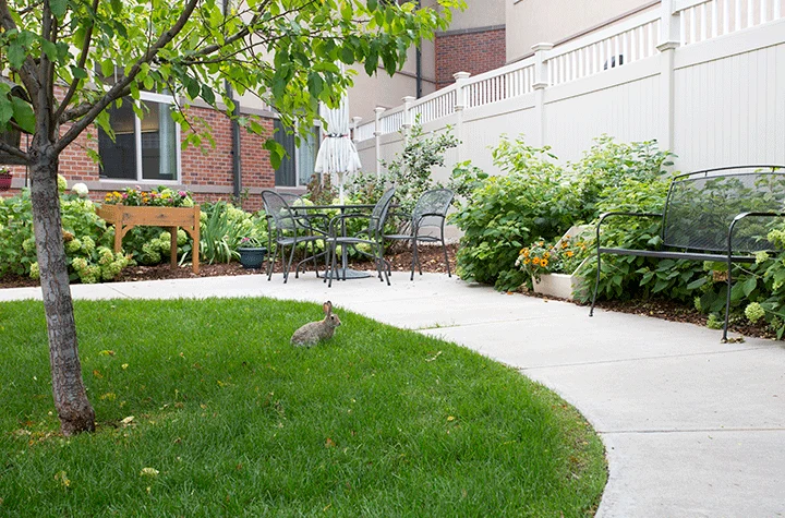 Image of Lemay Avenue Health And Rehabilitation (3)