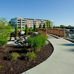 Image of Marquette (2)