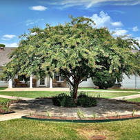 the-gables-at-charlton-place-assisted-living-community-image-3