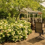 Image of Vincentian Home (2)