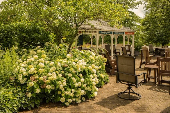 Image of Vincentian Home (2)