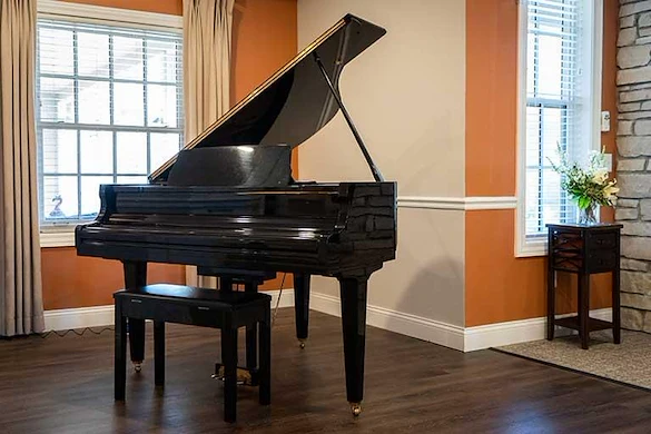 Image of The Carriages of Rochester (6)