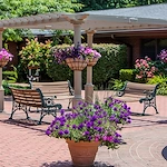 Image of Rae Ann Suburban (2)